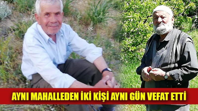 Başyayla ilçesi Kiraylıyayla Mahallesi'nde mahalle sakinleri aynı günde iki ismi